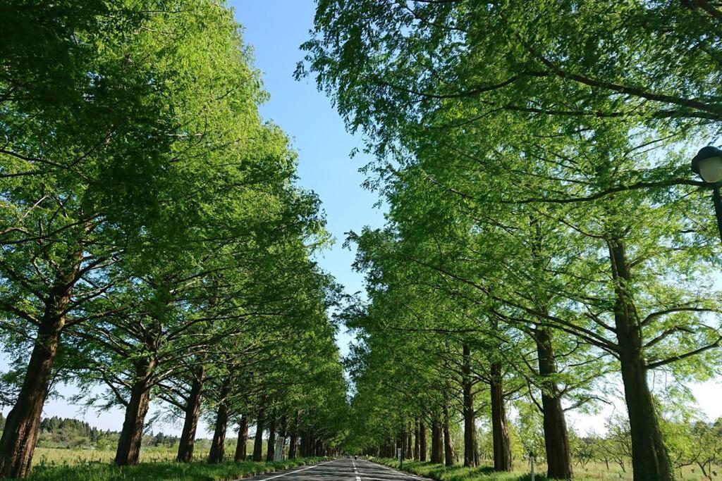 Farm Stay Inn Sanzaemon-Tei 母屋guesthouse Shiga-Takasima Traditional Japanese Architecture House 외부 사진