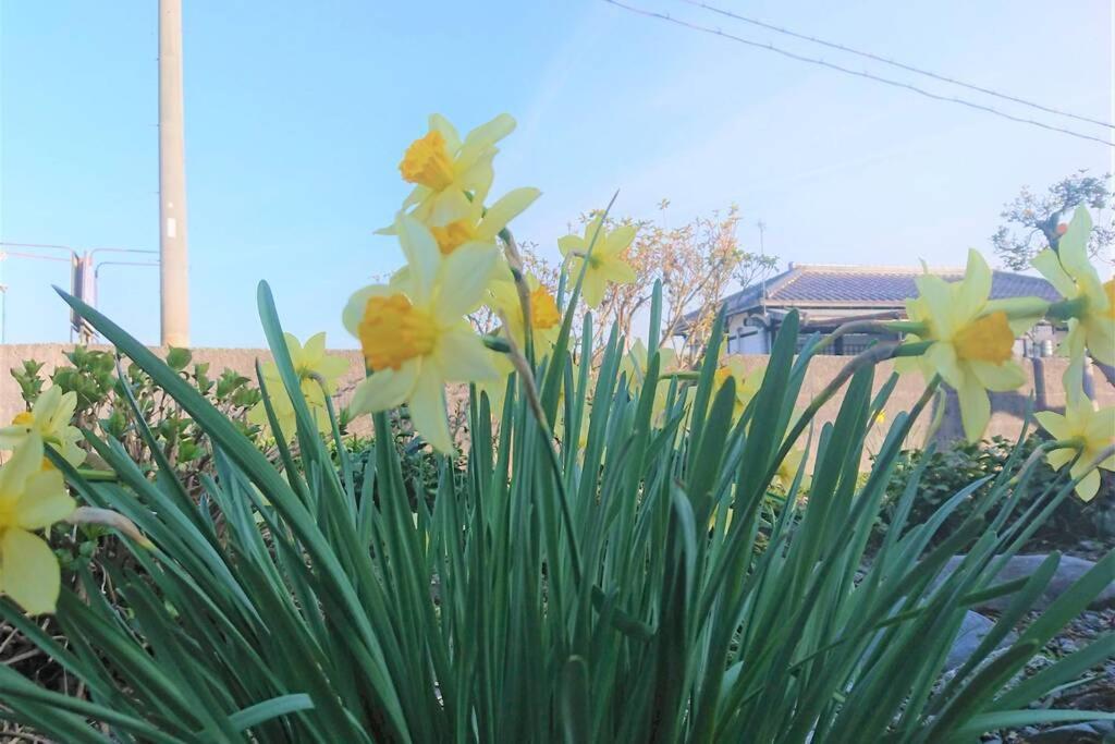 Farm Stay Inn Sanzaemon-Tei 母屋guesthouse Shiga-Takasima Traditional Japanese Architecture House 외부 사진