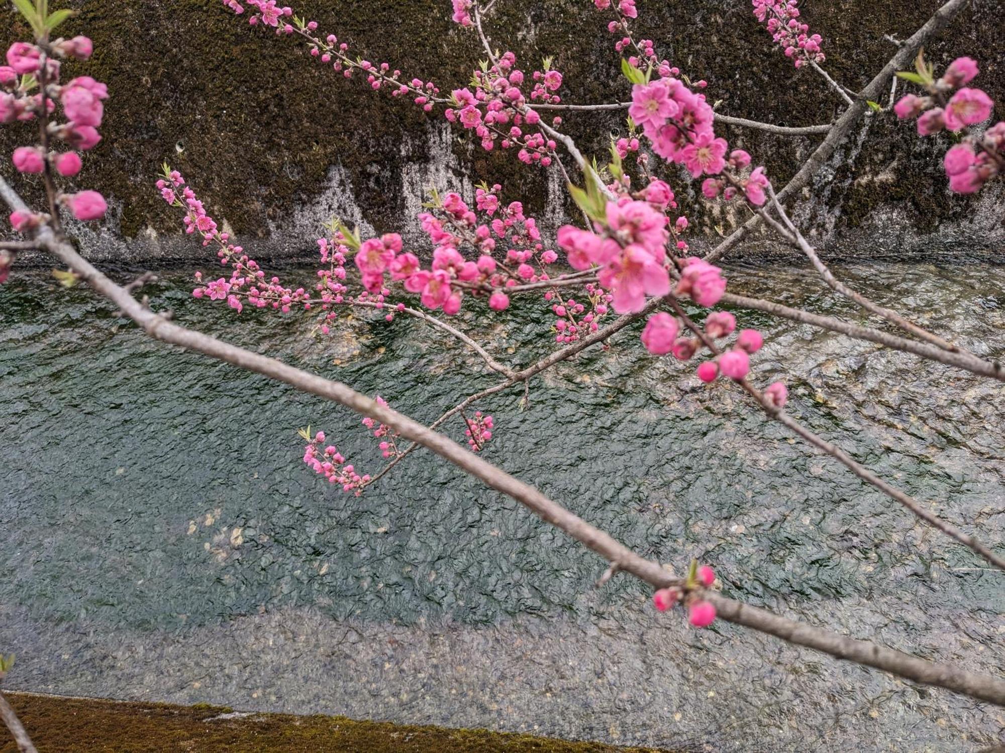 Farm Stay Inn Sanzaemon-Tei 母屋guesthouse Shiga-Takasima Traditional Japanese Architecture House 외부 사진